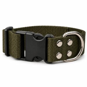 Collar táctico perro con rastreador verde militar (SOLO DISTRIBUIDORES)